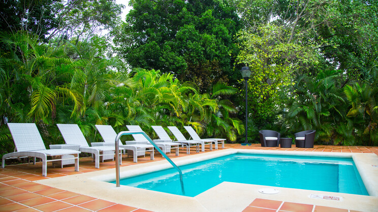 Hacienda Junior Suite (Hacienda Section)