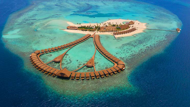 Cinnamon Velifushi