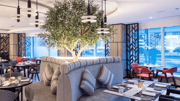 Rose Rayhaan by Rotana