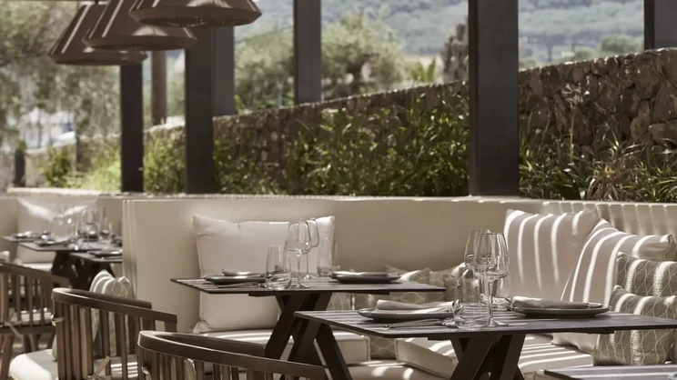 The Olivar Suites