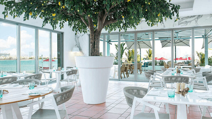 Th8 Palm Dubai Beach Resort, Vignette Collection