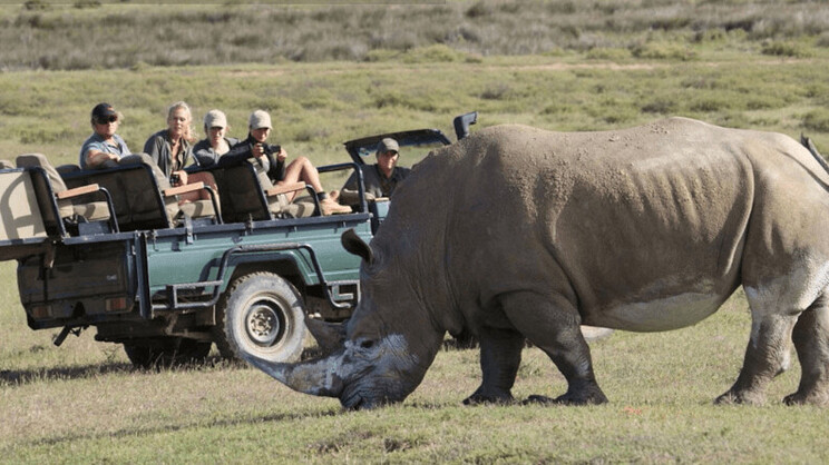 Garden Route Game Lodge