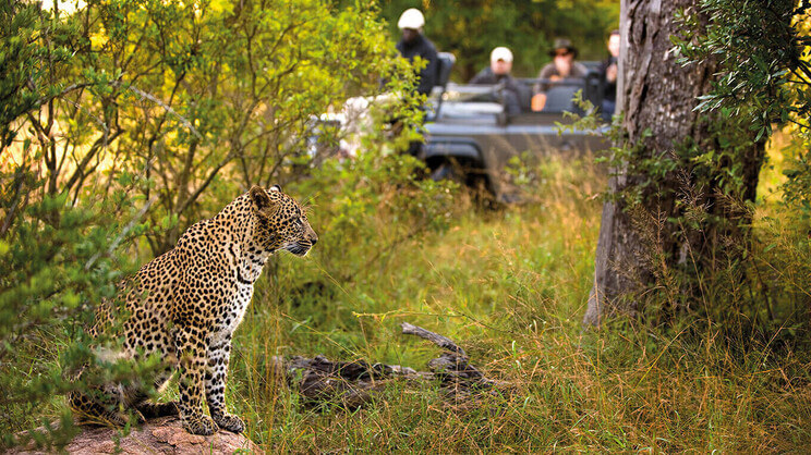 Lion Sands River Lodge