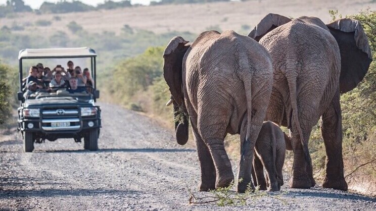 Bukela Game Lodge