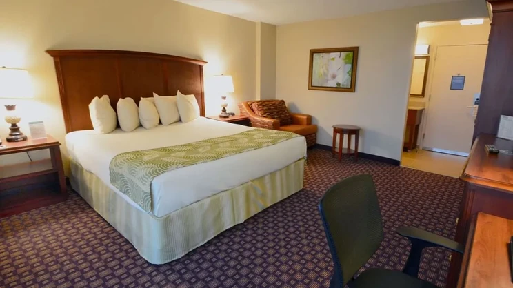 Deluxe King Room w/ One King bed