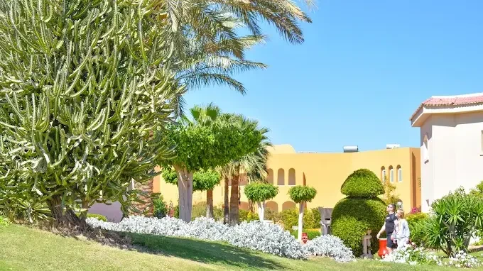 Parrotel Beach Resort