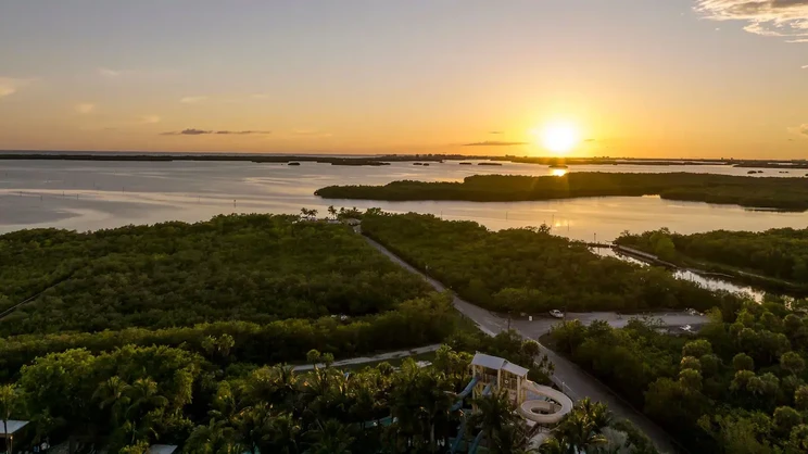 Hyatt Regency Coconut Point Resort & Spa