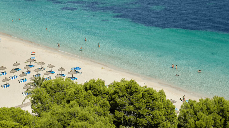 Meliá Calviá Beach