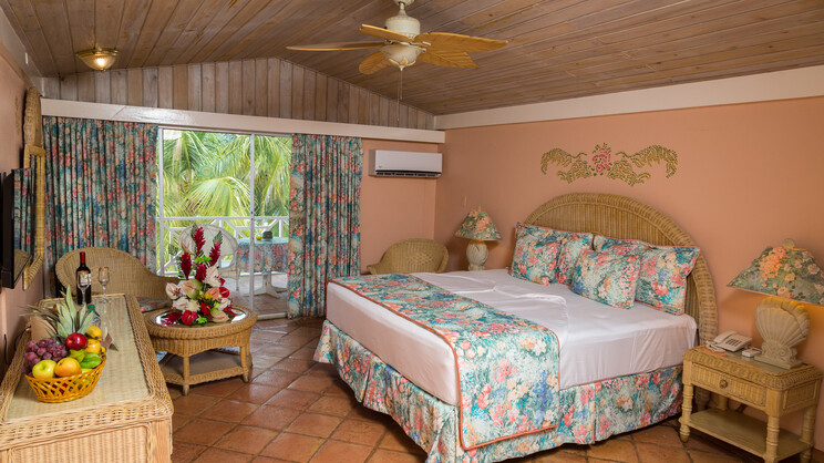 Superior or Deluxe Room