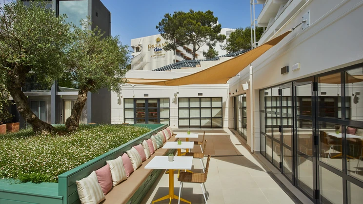 Alua Calvia Mallorca