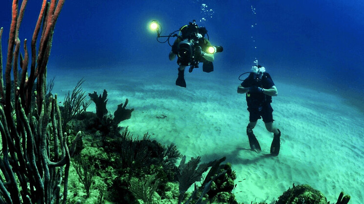 Fruit & Spice Zanzibar Wellness Resort