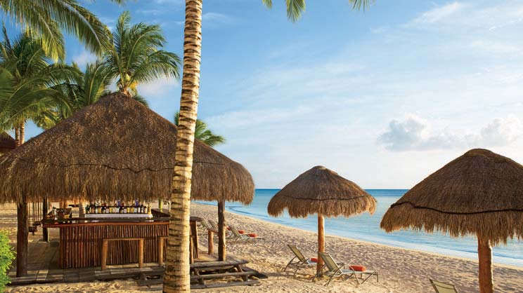 Sunscape Sabor Cozumel