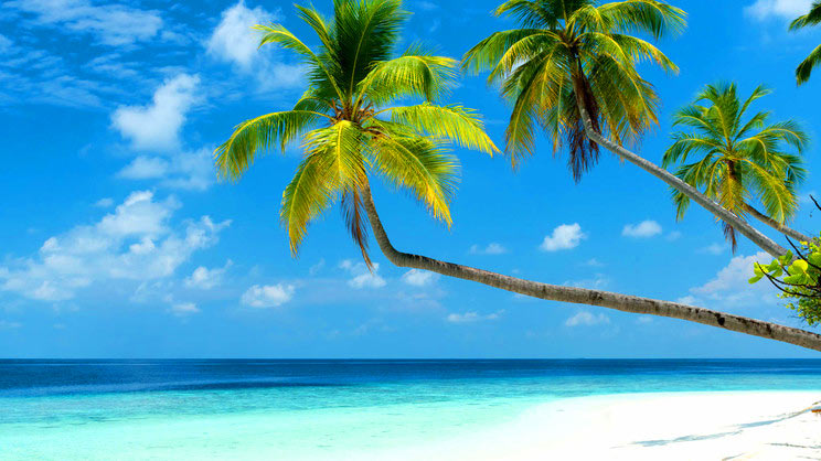 Mercure Maldives Kooddoo Resort