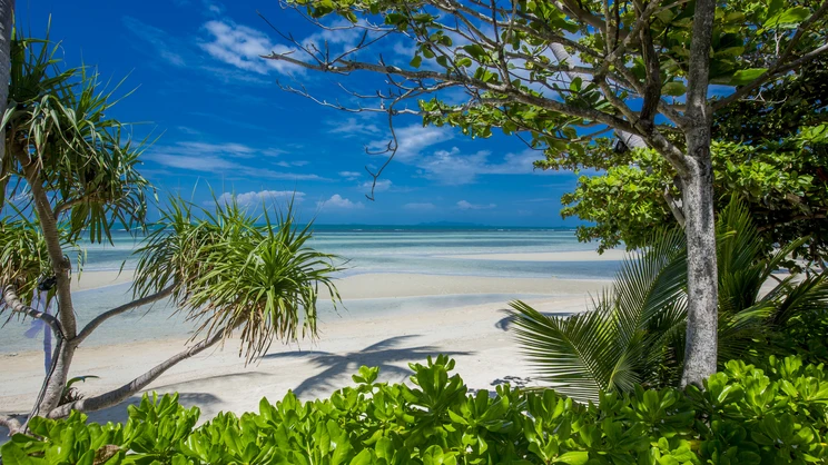 Tui Blue The Passage Samui