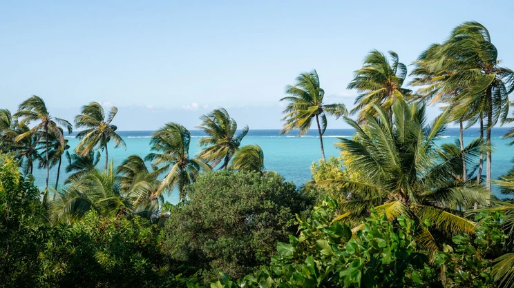 Xanadu Luxury Villas