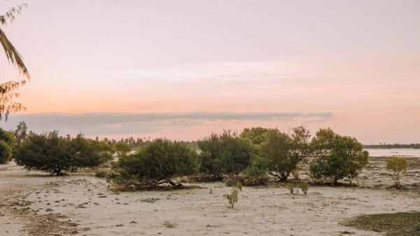 White Paradise Zanzibar