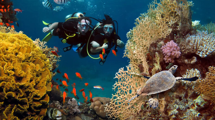 Secrets La Romana Resort & Spa