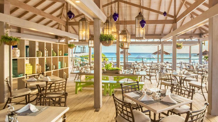 Bougainvillea Barbados