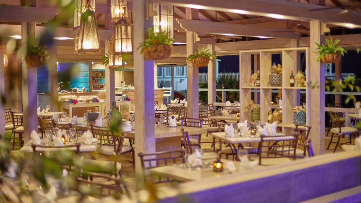 Bougainvillea Barbados