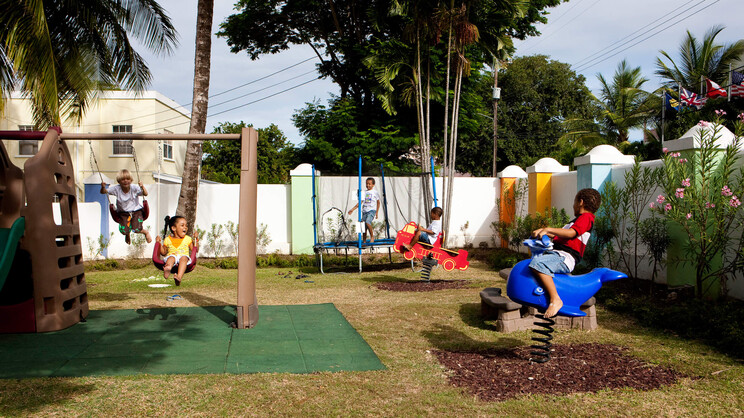 Bougainvillea Barbados