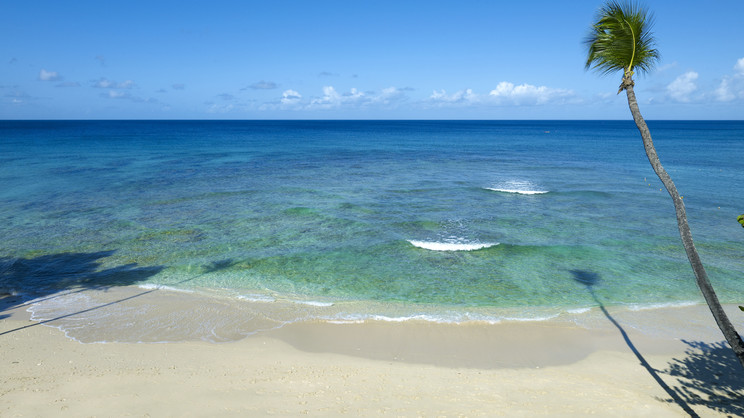 Tamarind Barbados Resort - An Autograph Collection All-Inclusive Resort