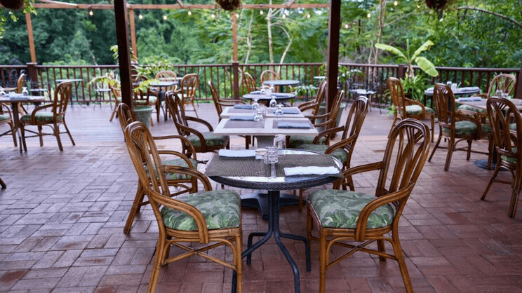 Sugar Cane Club Hotel and Spa