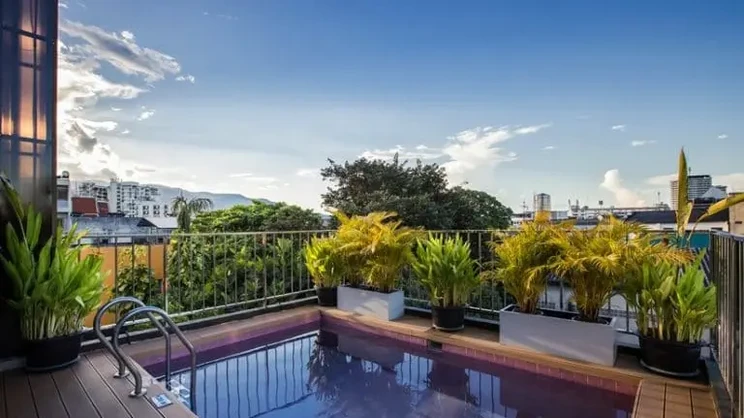 The Small Chiang Mai