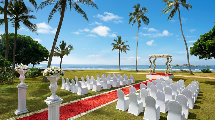 Hikka Tranz by Cinnamon