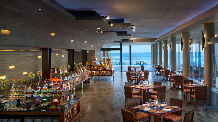 Hikka Tranz by Cinnamon