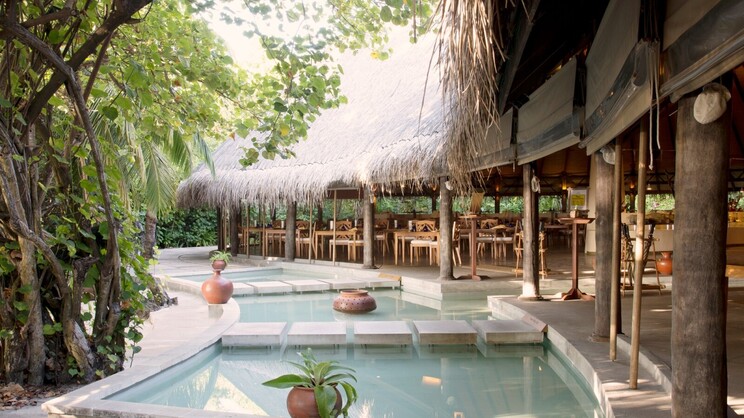 Coco Palm Resort, Dhuni Kolhu