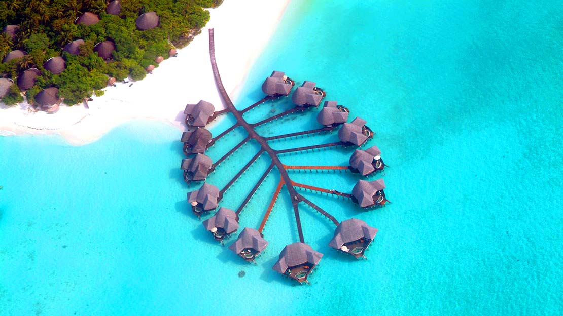 Coco Palm Resort, Dhuni Kolhu