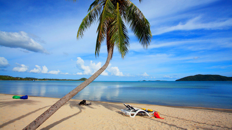 Coconut Beach and Resort Samui