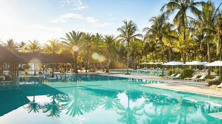 The Ravenala Attitude