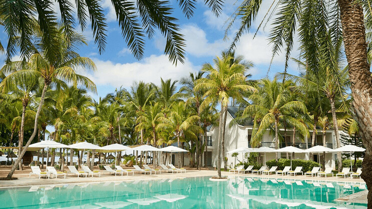 The Ravenala Attitude