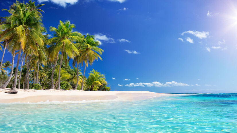 The Caribbean
