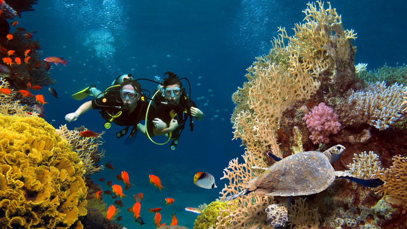 Ari Atoll