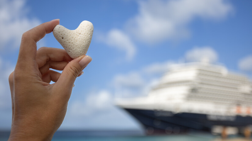 Cruise hacks and tips