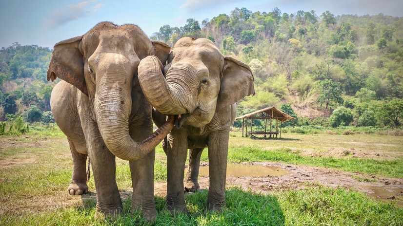 Thailand