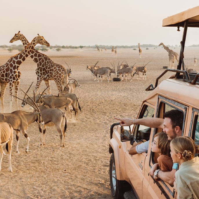 Abu Dhabi safari