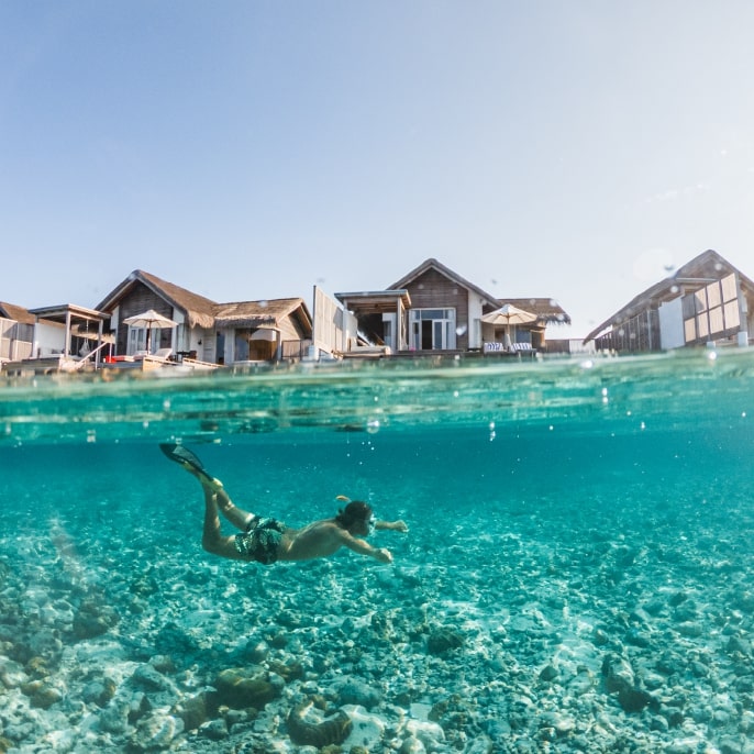 Maldives Swimming