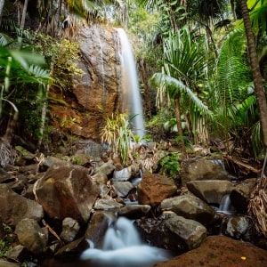 Seychelles nature