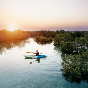 Abu Dhabi Kayaking