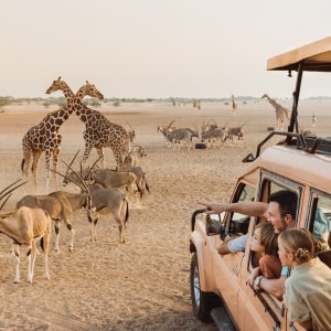 Abu Dhabi Safari