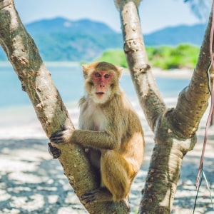 Thailand