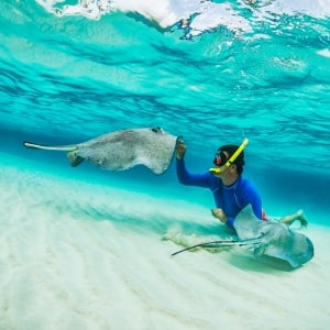 Caribbean