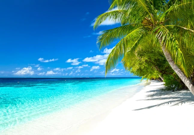 5 Reasons The Caribbean Is A Winter Sun Holiday Wonderland