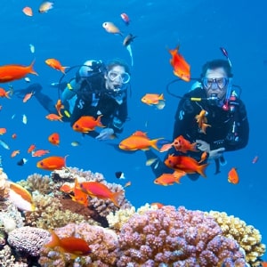 Egypt