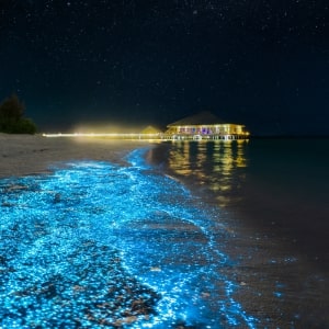 Maldives