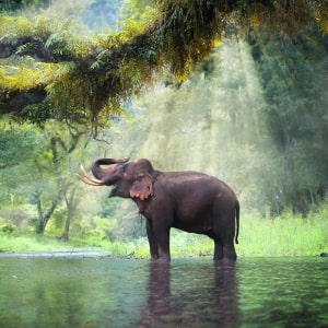 Thailand