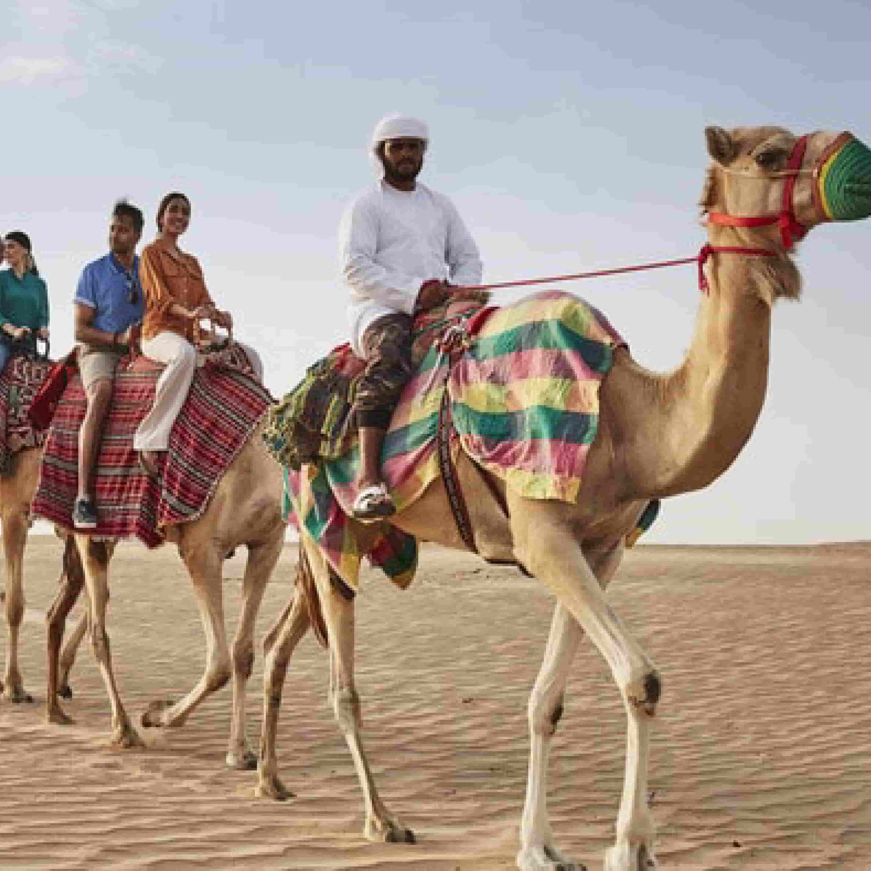 Camel riding adventure over the desert